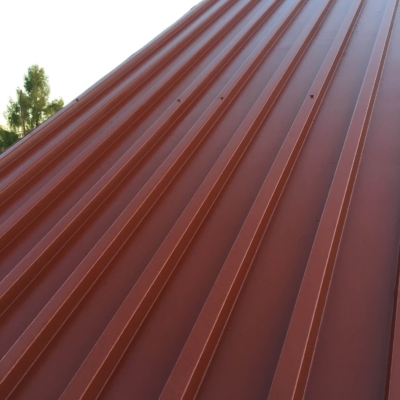 Pomalowany dach z blachy trapezowej farbą Royal
