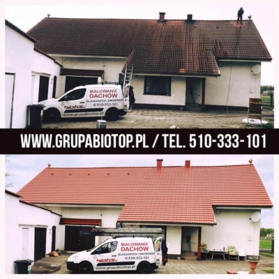 Grupa Biotop - malowanie dachów