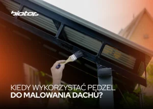 Kiedy wykorzystać pędzel do malowania dachu?