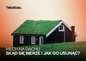 Skąd się bierze mech na dachu