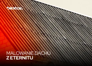 Malowanie dachu z eternitu - grafika
