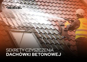 sekrety czyszczenia dachowki betonowej