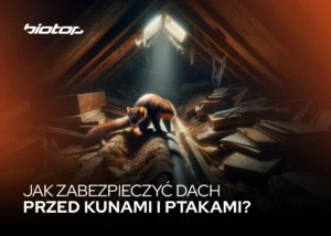 jak zabezpieczyc dach przed kunami i ptakami