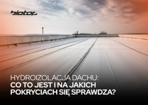 Hydroizolacja dachu – co to jest i na jakich pokryciach się sprawdza?