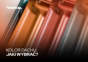 Kolor dachu: jaki wybrać?