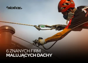 6 ZNANYCH FIRM MALUJĄCYCH DACHY