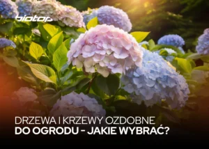 DRZEWA I KRZEWY OZDOBNE DO OGRODU - JAKIE WYBRAĆ?